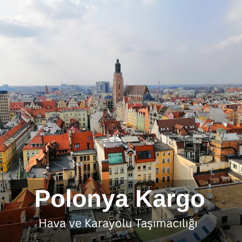 polanya-kargo-piton