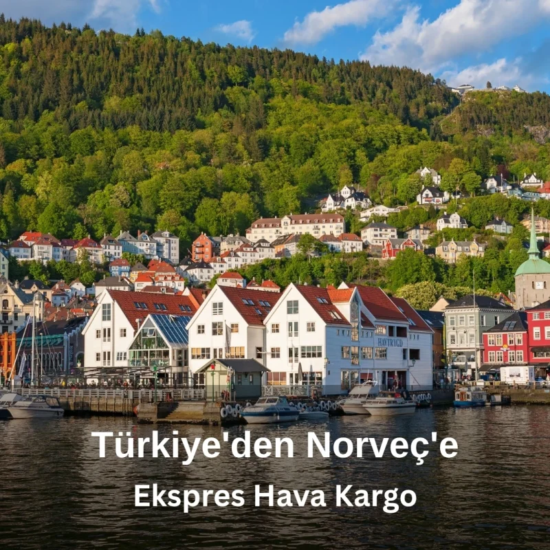 norveç-piton-kargo